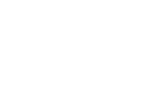 Soldatovic Holding